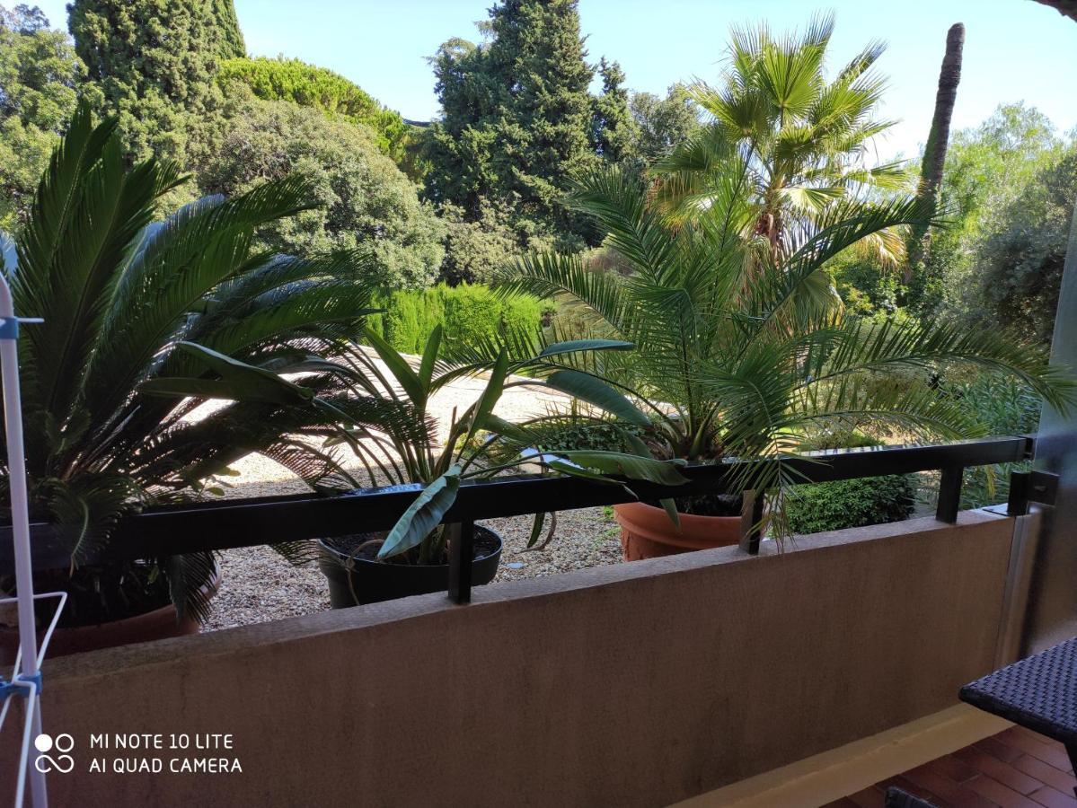 Residence Les Palmiers Nice Dış mekan fotoğraf